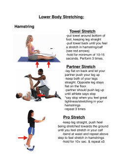 Stretching Techniques