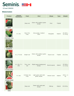 Seminis ~ Products ~ Products ~ Watermelon