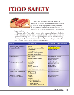 Beef Safety - Texas Beef Quality Producer Program