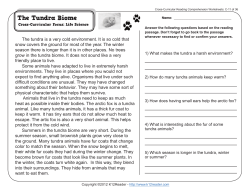 Cross-Curricular Reading Comprehension Worksheets