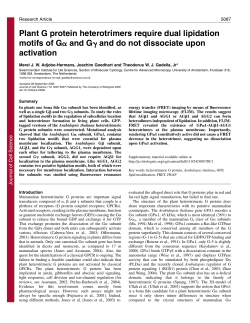 Plant G protein heterotrimers require dual lipidation motifs of G and