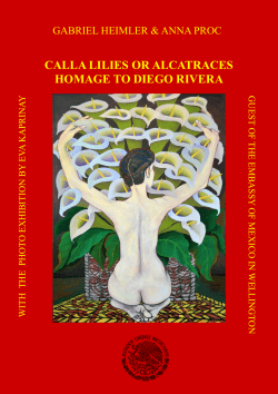 calla lilies or alcatraces homage to diego rivera