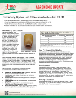 Corn Maturity, Drydown, and GDU Accumulation Less than 100 RM