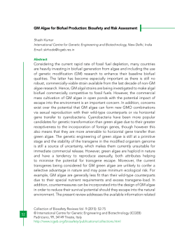 GM Algae for Biofuel Production: Biosafety and Risk