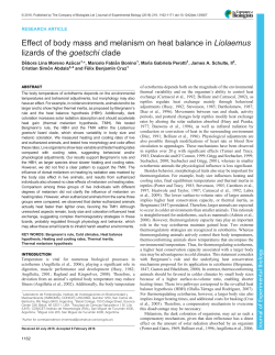 Effect of body mass and melanism on heat balance in Liolaemus