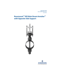Rosemount™ 585 Main Steam Annubar™ with Opposite Side Support