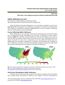 Sulfur deficiency in corn - Purdue Agronomy