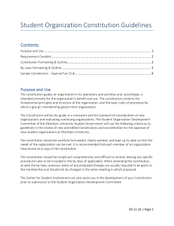 Student Organization Constitution Guidelines