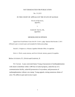 Kansas Court of Appeals-111913