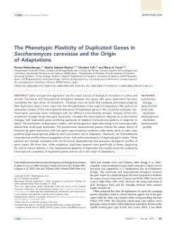 The Phenotypic Plasticity of Duplicated Genes in Saccharomyces