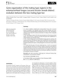 Gene organization of the mating type regions in the ectomycorrhizal