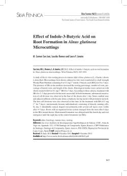 Effect of Indole-3-Butyric Acid on Root Formation in Alnus glutinosa