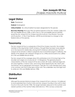 San Joaquin Kit Fox - Bakersfield Habitat Conservation Plan