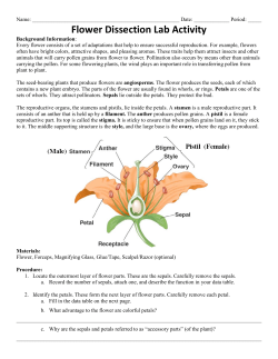Flower Dissection Lab