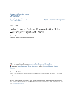 Evaluation of an Aphasia Communication Skills