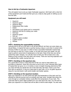 How to Set Up a Freshwater Aquarium Equipment you