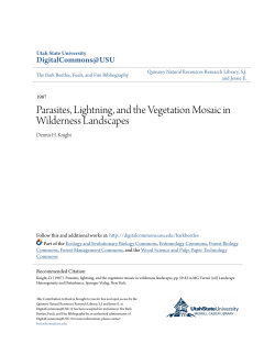 Parasites, Lightning, and the Vegetation Mosaic in