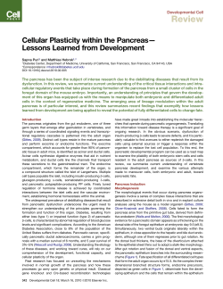 Cellular Plasticity within the Pancreas- Lessons Learned from
