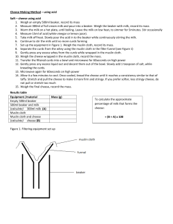 Practical Activity: Making Cheese File