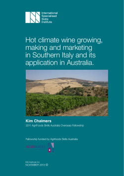 Hot climate wine growing, making and marketing in Southern Italy