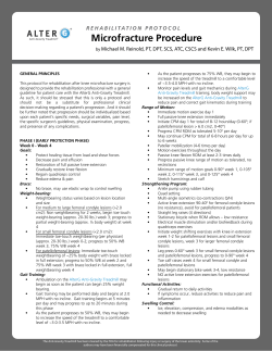 Protocol 3 Microfracture.ai