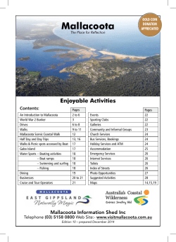 Enjoyable Activities