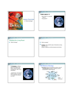 Lesson Overview - St. Pius X High School