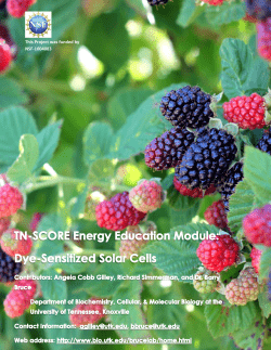 Energy Education Module: Solar Energy