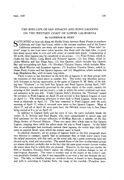 The Bird Life of San Ignacio and Pond Lagoons on the Western