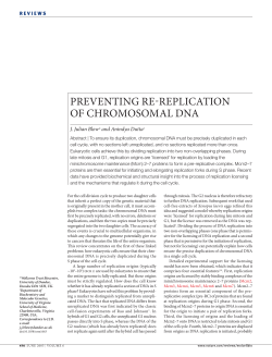 PREVENTING RE  REPLICATION OF CHROMOSOMAL DNA