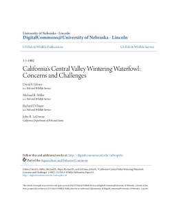 California`s Central Valley Wintering Waterfowl