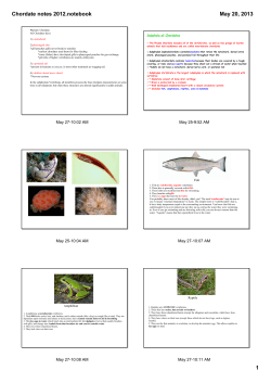 Chordate notes 2012.notebook