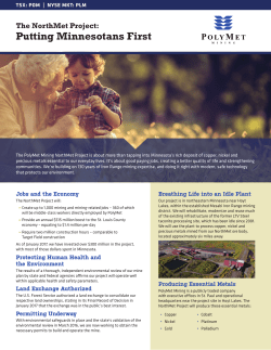 Project Brief - PolyMet Mining