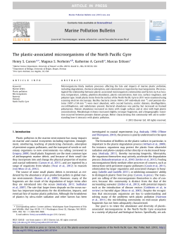 The plastic-associated microorganisms of the North