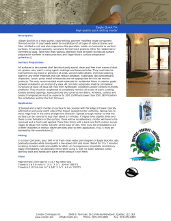 Eagle Quick Fix - Condor Chimiques