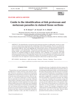 Guide to the identification of fish protozoan and metazoan parasites