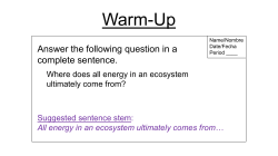 Food Pyramids - stephen fleenor