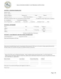 Small Business Energy Loan Application