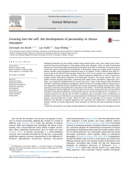 the development of personality in rhesus macaques