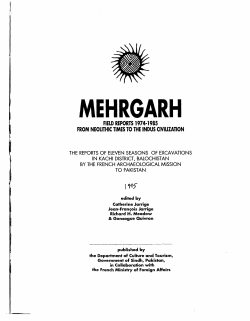 Shell Trade and Shell Working During the Neolithic and
