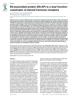 E6-associated protein (E6-AP) is a dual function coactivator of