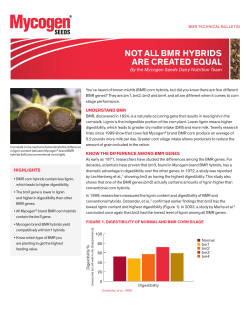 not all bmr hybrids are created equal