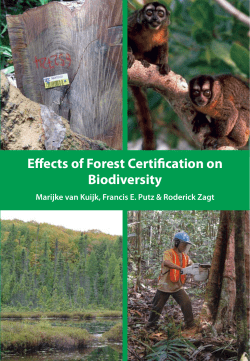 Effects of Forest Certification on Biodiversity