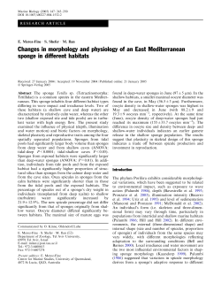 Changes in morphology and physiology of an East Mediterranean