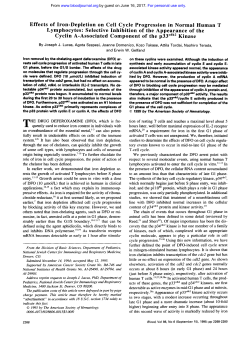 Effects of Iron-Depletion on Cell Cycle Progression