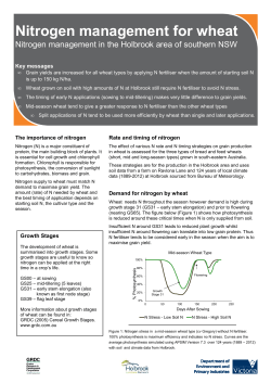 Nitrogen management for wheat