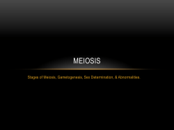 MEIOSIS