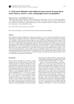 A 2.5-kb insert eliminates acid soluble invertase isozyme II transcript