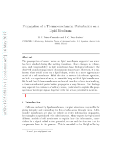Propagation of a Thermo-mechanical Perturbation on a Lipid