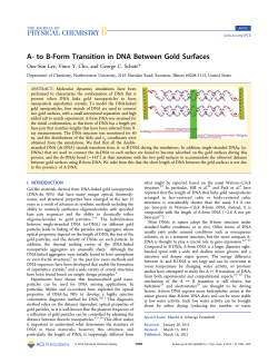 A- to B-Form Transition in DNA Between Gold Surfaces